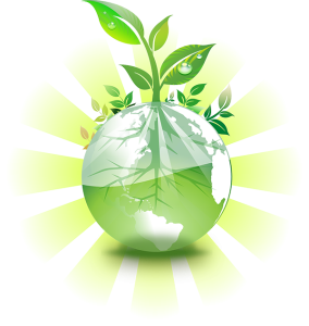 Environment